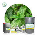 Chinese Spearmint Essential Oil Organic for Skin Hair - 100% Pure Natural Plant Extract Steam Distilled Non-GMO | Bulk 1kg