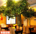 Real Wood Trunk Artificial Ficus Banyan Tree 4m Tall Eco-Friendly Lightweight Durable Plastic Steel Material Water Resistant 5-8