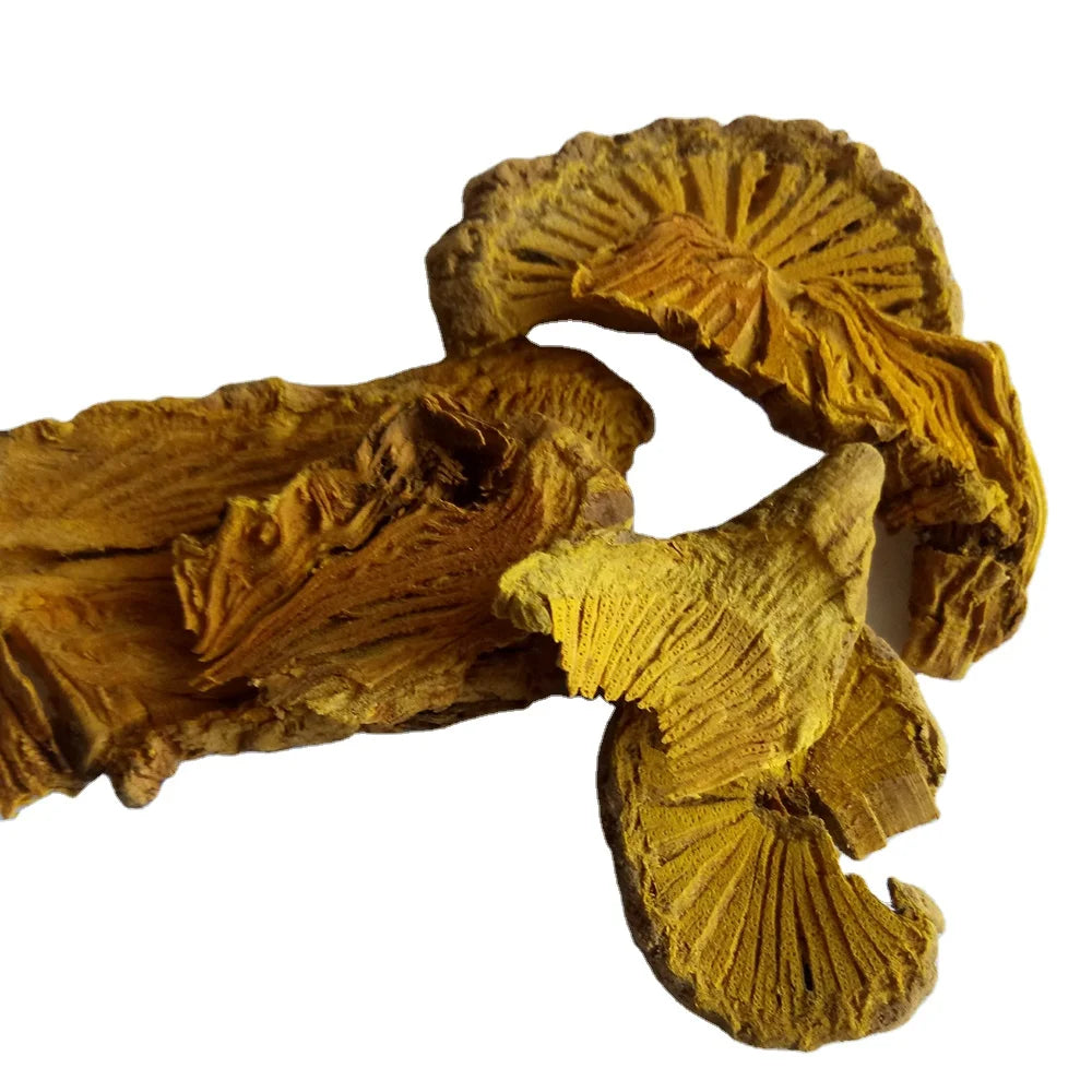 Natural Raw Fibraurea Recisa Vine Dried Fibraurea Recisa Root for Herb