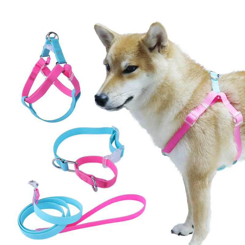 Stitching Color D-ring Dog Harness Set Custom Adjustable Waterproof PVC Dog Collar and Leash