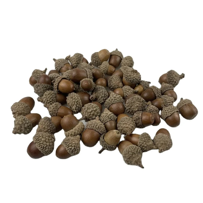 Naturals Eco-Friendly DIY Decorations Raw Technique Acorns Love Style