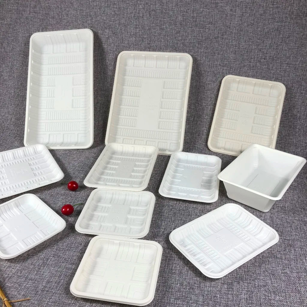 Biodegradable LFGB Certified Disposable Corn Starch Food Tray with Custom Logo for Home Hotel Restaurant Use