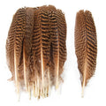 Wholesale Paired 10-12"/12-14" Natural Barred Mottled Peacock Wing Quills Feathers for Fly Tying Millinery Crafts Decorations