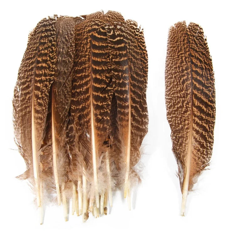 Wholesale Paired 10-12"/12-14" Natural Barred Mottled Peacock Wing Quills Feathers for Fly Tying Millinery Crafts Decorations