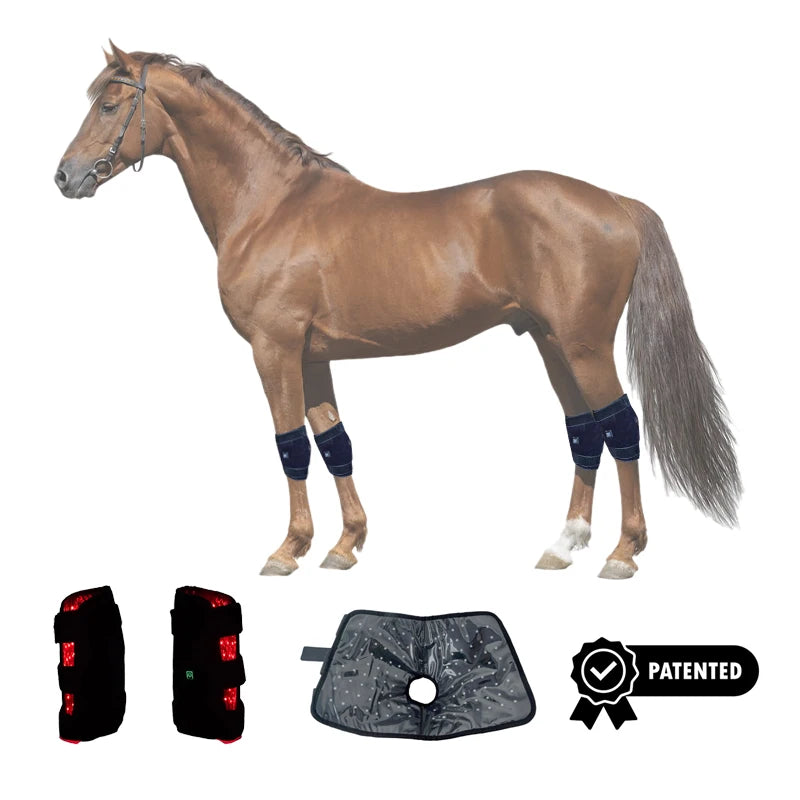 Pulse Wireless Horse Head Leg Feet Veterinary Instrument Horse Therapy Tendon Boots Therapy Machine Shock Wave for Horse