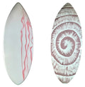 High Perferomance Art Design Shortboard Wooden Skimboards Water Sports Surfing Wooden Skim Board