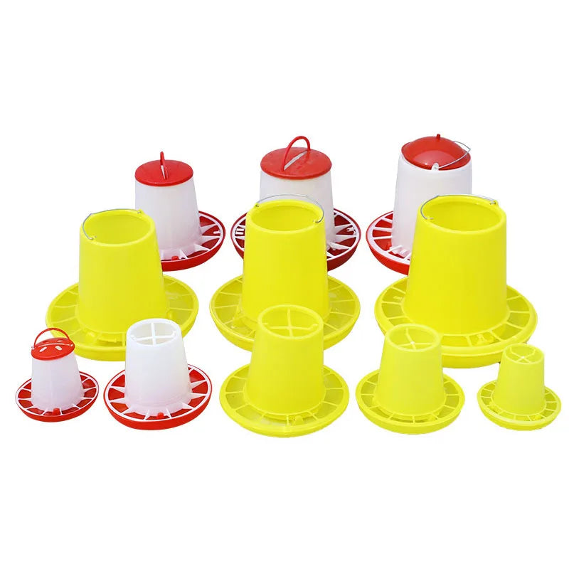 Factory Easy Access to Water Broiler Feeder and Drinker for Chicken Chick