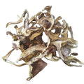 Feature Fungus Edible Clitocybe Nuda Natural Raw Dried Lepista Nuda Mushrooms for Sale