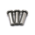 Stainless Steel & Steel PAN Head Solid Rivets Customizable Diameter & Grade ISO Standard Saitong Brand