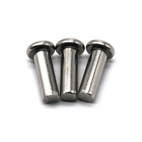 Stainless Steel & Steel PAN Head Solid Rivets Customizable Diameter & Grade ISO Standard Saitong Brand
