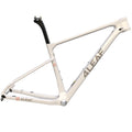 OEM/ODM Custom Carbon Frame Bikes for Mountain Bicycle Carbon Fibre Frame Bicycle Frame for MTB