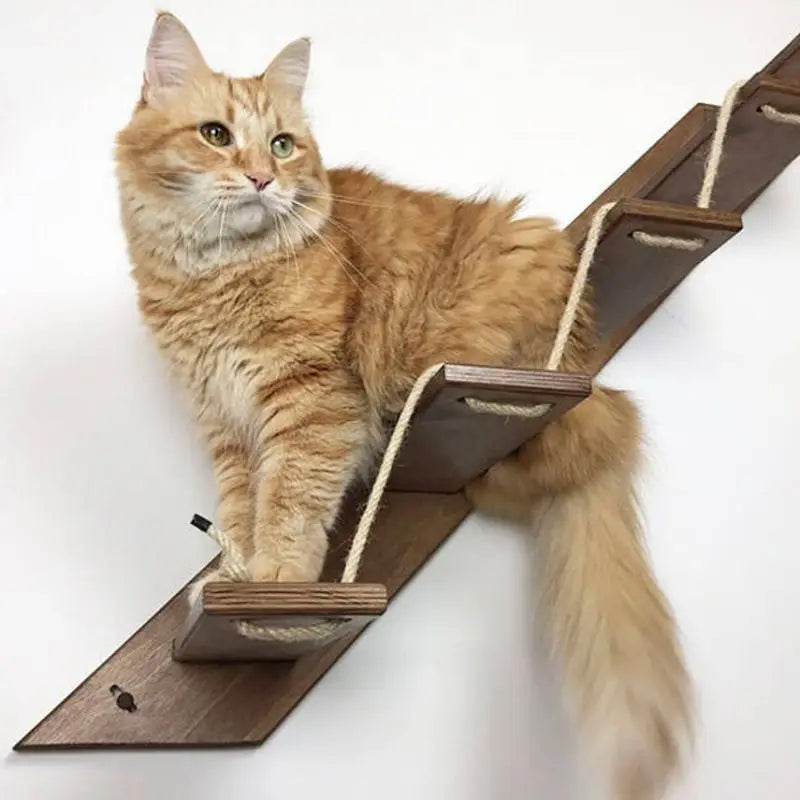 Wall Mounted Cat Scratching Post for Adult Cat KittensSisal Cat Scratching PadScratcher for Kitty Health CNLF