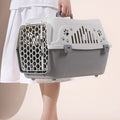 Wholesale Plastic Pet Dog Portable Suitcase
