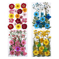 M101 Mixed Real Dried Press Flowers Assorted Colorful Daisies Leaves Hydrangea Dry Pressed Flowers for Resin Craft Wedding Decor