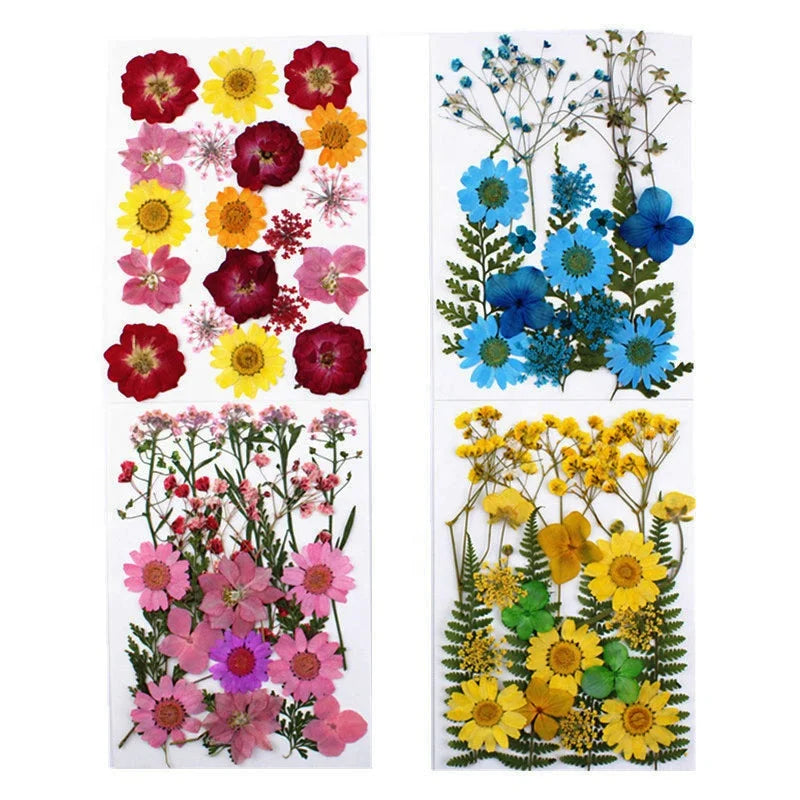M101 Mixed Real Dried Press Flowers Assorted Colorful Daisies Leaves Hydrangea Dry Pressed Flowers for Resin Craft Wedding Decor