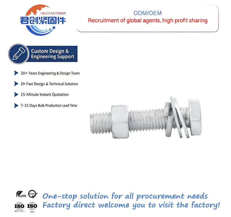 High Quality M10 Size Steel Bolts Set with Nuts Flat Spring Pad Hot Dip Galvanized Bolt and Nut Factory Direct