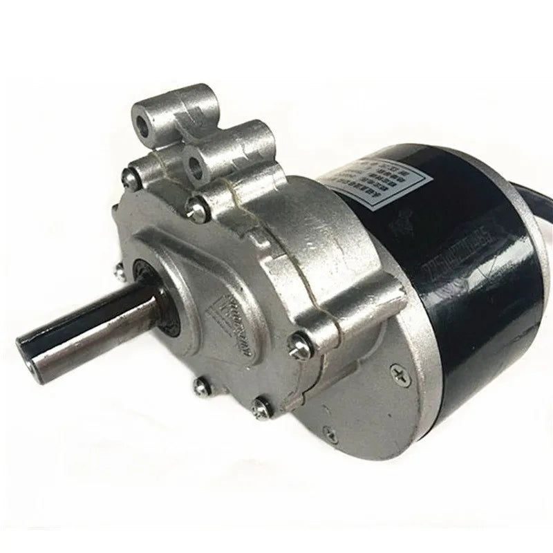 250w 12V 24V 75rpm 120rpm Low Speed Brush Motor Wheel Chair DC Gear Brushed Motor Large Torque Electric Motor MY1016Z
