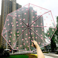 New Design Factory Direct Sell Pink Transparent Folding Simple  Automatic Umbrella  Students  Umbrella for Rain