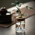 Transparent Mountain Planter Glass Vase for Hydroponic Plants Tabletop Office Desk Decoration with Wooden Cork