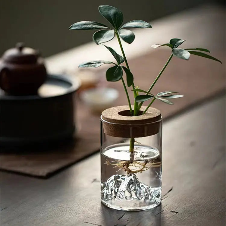 Transparent Mountain Planter Glass Vase for Hydroponic Plants Tabletop Office Desk Decoration with Wooden Cork