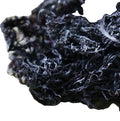 Bulk Supply Gracilaria Eucheumoides New Dried Red Raw Whole Gracilaria Eucheumoides Seaweed for Sale