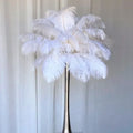 Wholesale Feather Suppliers Natural 45-50cm Decor Ostrich Feather for Wedding Party Decoration