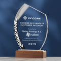 Personalized Crystal Trophy with Wooden Base  MH-NJ0504