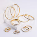 RisingMoon Hypoallergenic Jewelry for Sensitive Ears Hoop Earrings Gold Plated Stainless Steel Cubic Zirconia Earrings