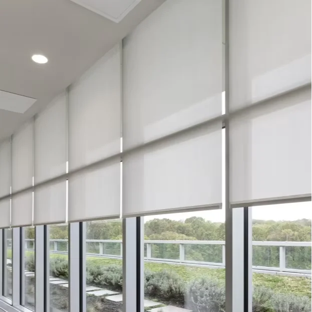 ZSTARR Modern Design Outdoor Home Use Automatic Electric Motor WiFi Polyester Fabric Roller Blinds Shades for French Windows