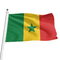 Wholesale 3X5FT 90x150cm 100D Polyester Best Price Vivid Color Custom Flags Banners Senegal Flags