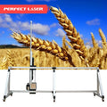 Perfect Laser-Vector Positioning No Strip Grating High Precision Brushless Servo Motor Control System 3D Vertical Wall Printer