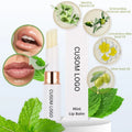 Oem Private Label Custom Logo Natural Glossy Vegan Soft Lip Moisturizer Mint Rose Orange Repairing Treatment Lip Balm