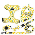Pet Supply Manufacturer Puppy Dog Chest Harness Pet Dog Harness Collar Leash Set Custom Designer Luxury Wholesale Dog Harness