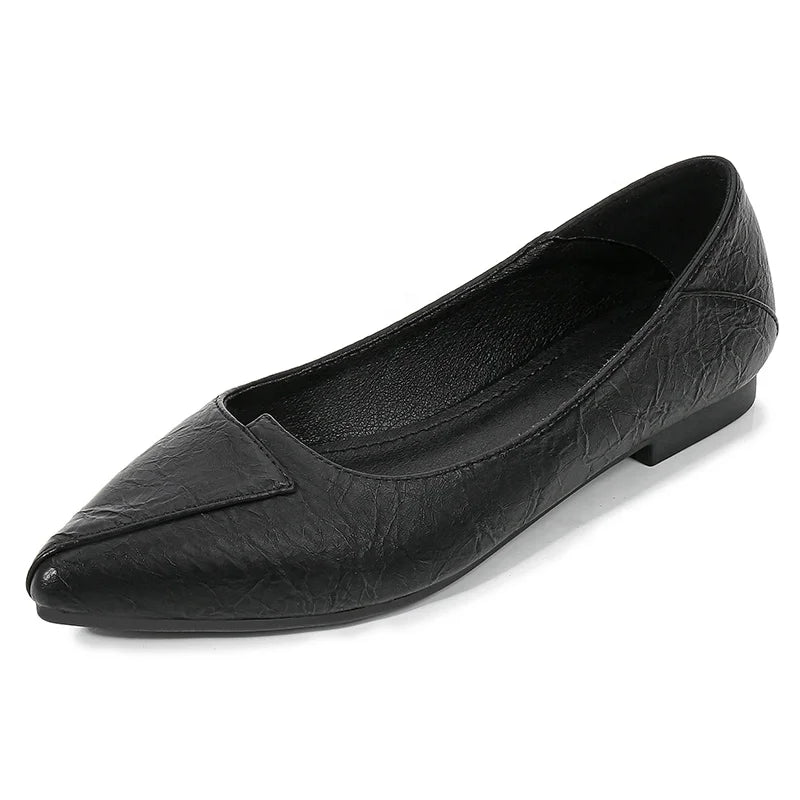 New Arrival Women's Latin Salsa Ballroom Dance Shoes Low Heel Black Microfiber for Sports Dancing
