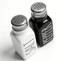 Wholesale Colorful Portable Black and White BBQ Spice Bottles Glass Spice Jar Salt and Pepper Shakers Set