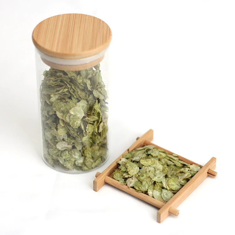 High Quality Slippery Elm Bark Natural Elm Ulmus Pumila Seeds