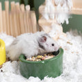 Best-selling Food-grade Ceramic Hamster Food Bowl-spill-proof Bite-resistant and Easy to Clean