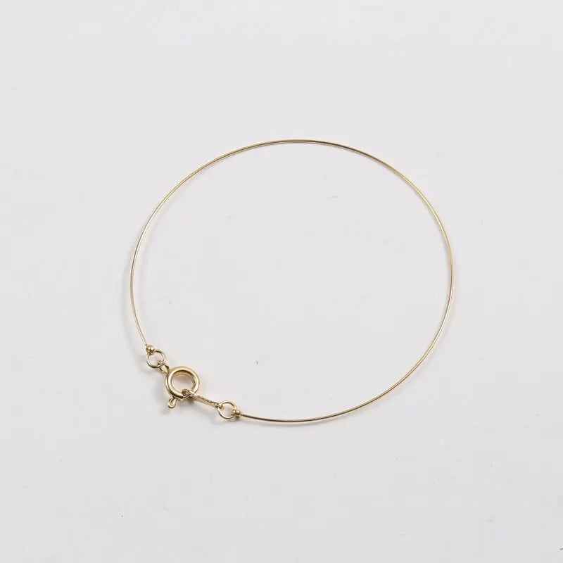 Fenny 18K PVD Gold Plated Retro Simple Super Fine Linellae Bracelet Trendy for Women Stainless Steel Jewelry Wholesale