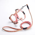 2024 New Pet Product Fashion Cat Dog Harness Gradient Color Nylon Classic H Style Adjustable Cat Harness and Leash