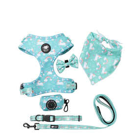 OEM/ODM Personalized Pet Accessories Print Reflective Reversible Quick Release Padded Polyester Pattern Dog Harness Set