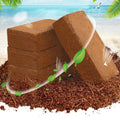 Factory Wholesale Planting Soil Cocopeat Peat Coconut Coir Coco Soil Natural Cocopeat Block for Plants