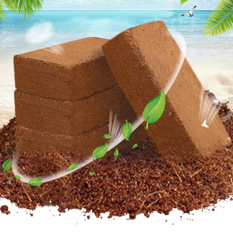 Factory Wholesale Planting Soil Cocopeat Peat Coconut Coir Coco Soil Natural Cocopeat Block for Plants