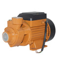 Water Supply Pressurization 220v Durable and Safety Vortex Type Micro Electric Pump