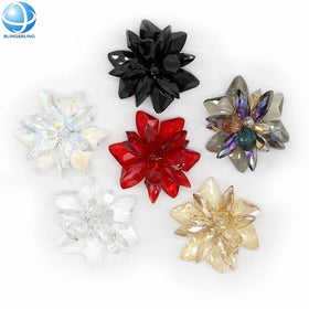 Bling Bling Shoe Buckle Acrylic Crystal Shoe Flower Decoration Removable Shoes Clips for Women Shoes Pumps High Heels Accessory