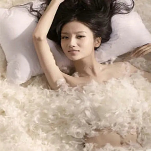 Factory Wholesale High-quality White Down High Filling Power 1000+ Duck Feather