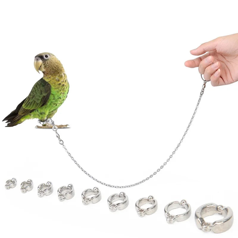 Bird Ring Parrot Bird Products Stainless Steel Anklet Parrot Anklets Parrot Stainless Steel Bird Chain Traction Rope