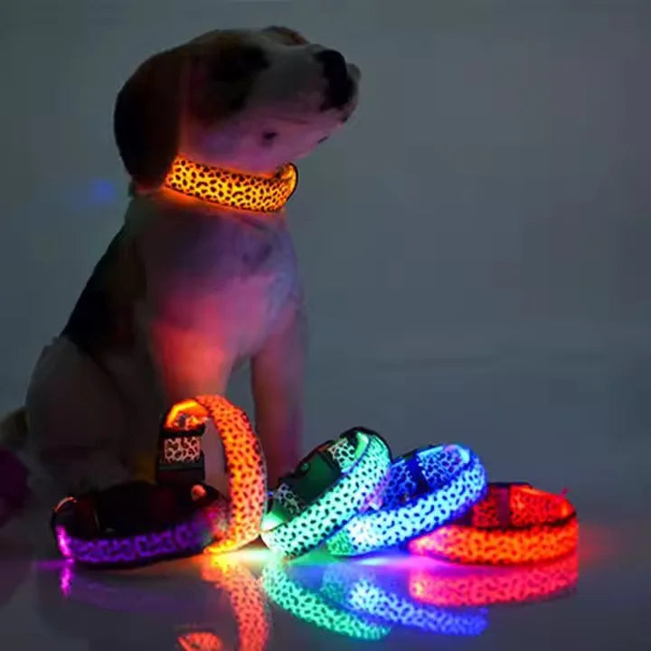 Nylon Polyester LED Adjustable Training Dog Collar Night Safety Flashing Glow Durable Luminous Fluorescent Simple Solid Pattern