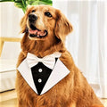 Wholesale Business Suit Dog Cat Dog Bib Neck Scarf