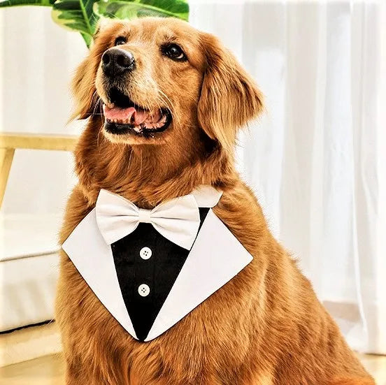 Wholesale Business Suit Dog Cat Dog Bib Neck Scarf