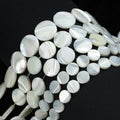 JSES Factory Direct Sales 6-15mmHorseshoe Shell Wafer Round Beads for Jewelry Making